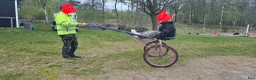 Körsulkys körning till salu: Sulky ponny - Annons 1