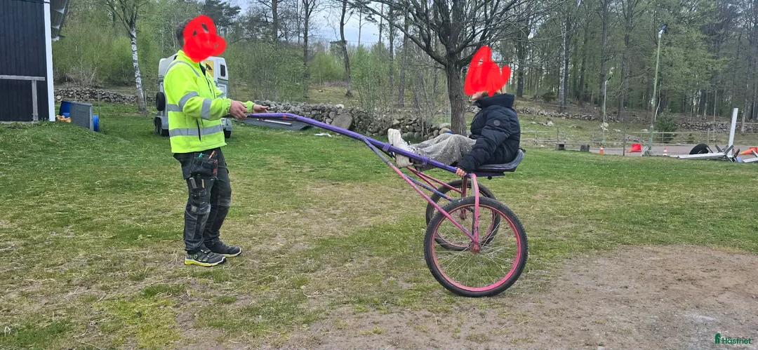 Körsulkys körning till salu: Sulky ponny - Annons 1