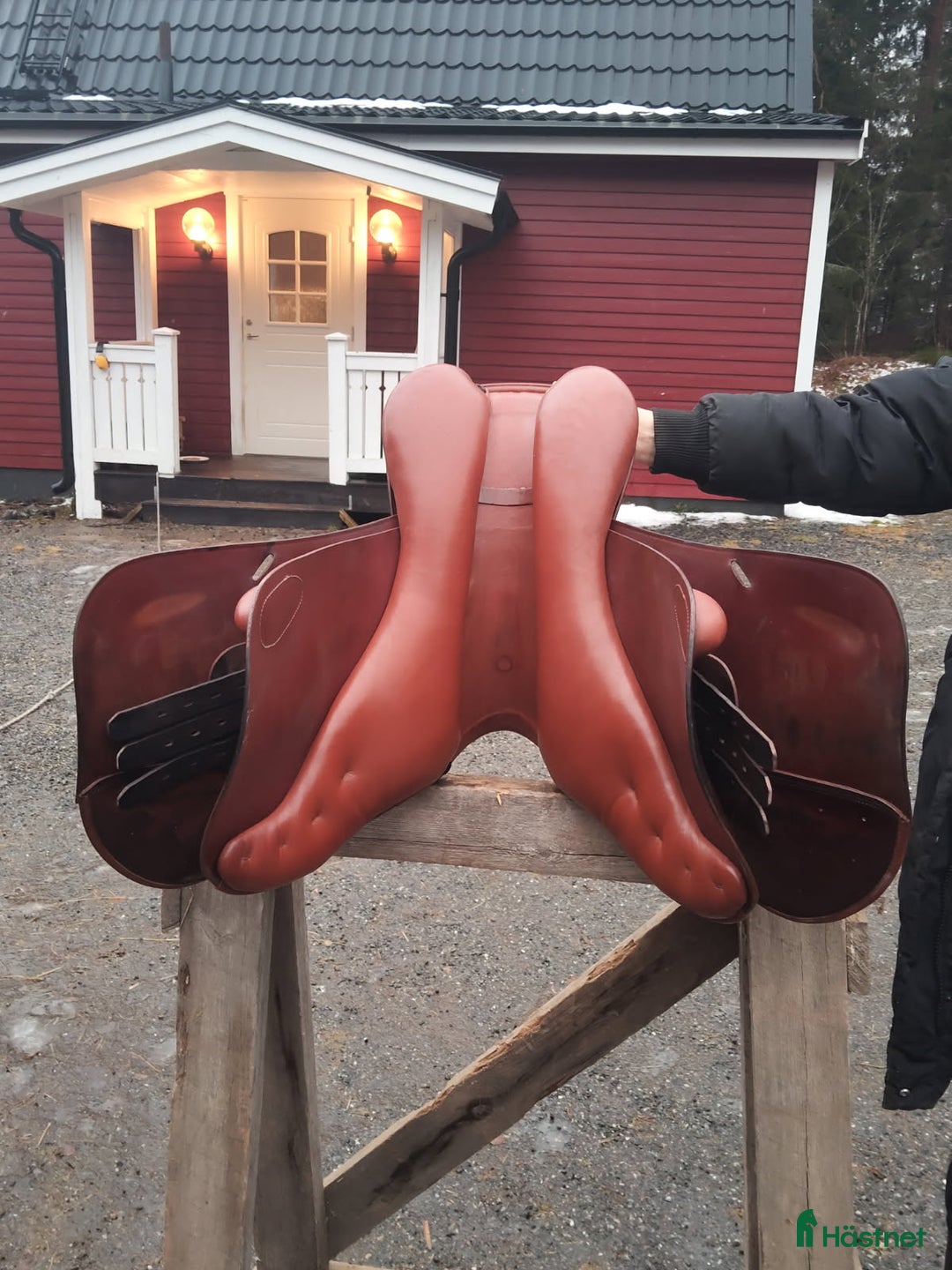 Sadlar hästutrustning till salu: Prestige Golden star  i Vännäsby - Annons 6