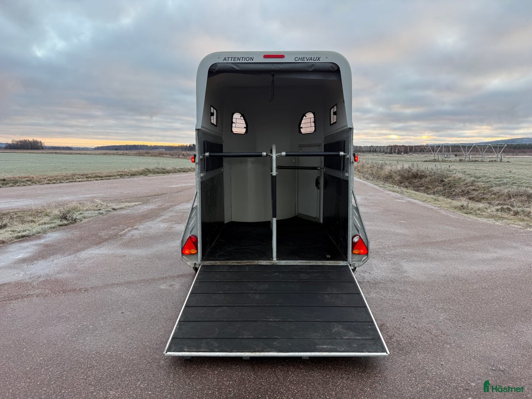 Hästtransporter  fordon & transport till salu: Cheval Gold2 - Toppskick! i Borlänge - Annons 3