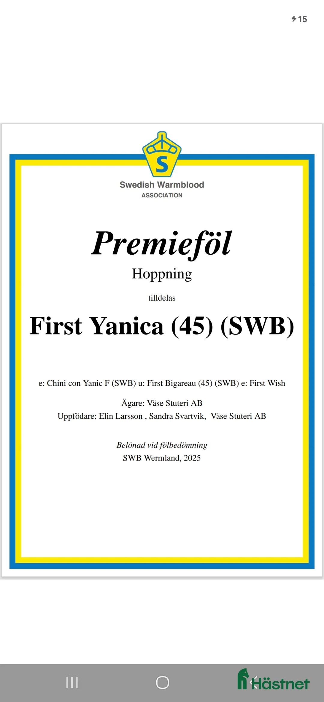 Hoppning hästar till salu: Snyggt premieföl till de högsta klasserna.  - Annons 2