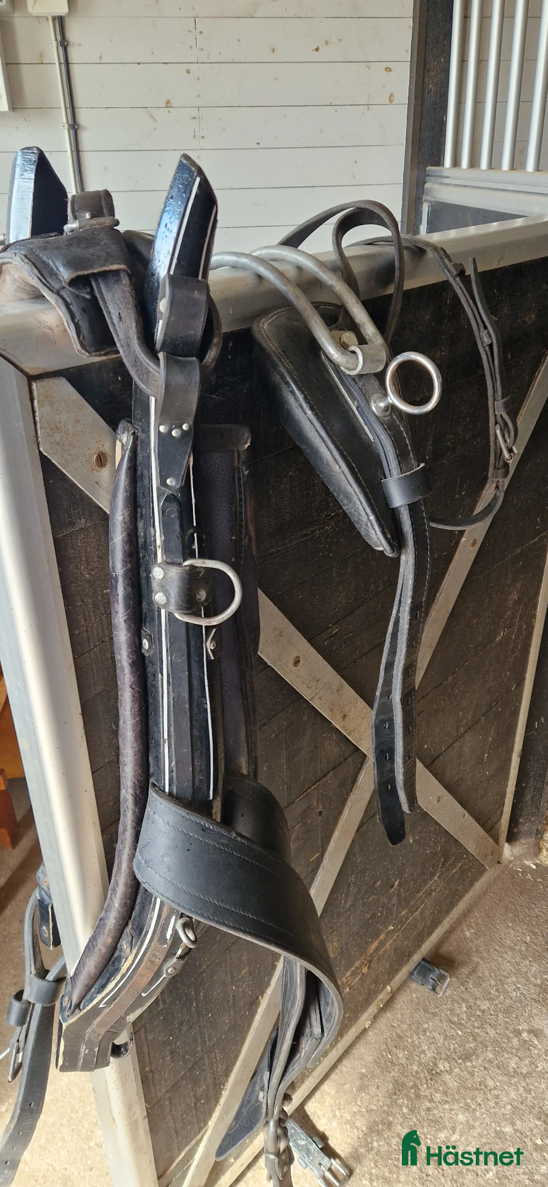 Körselar körning till salu: Loksele - Annons 1