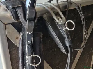 Körselar körning till salu: Loksele - Annons 5