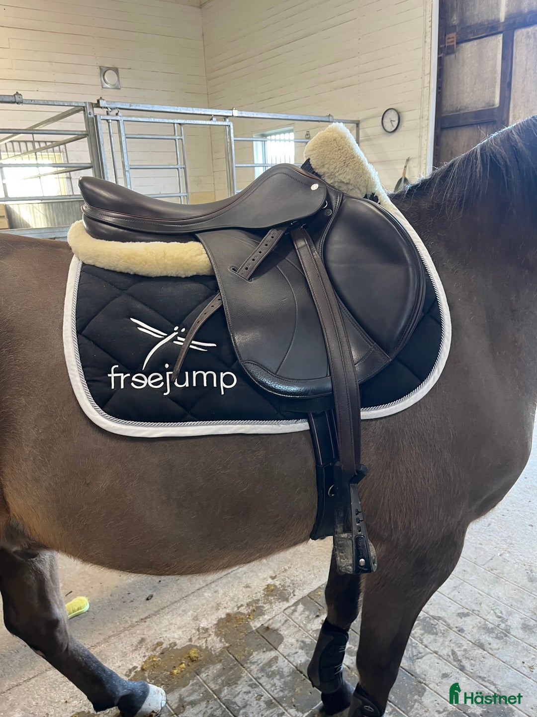 Schabrak & Vojlockar hästutrustning till salu: Fint hopp schabrak - Annons 1