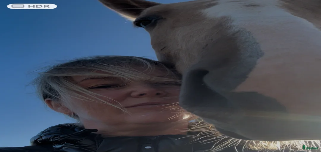 Galleribild {{count}}