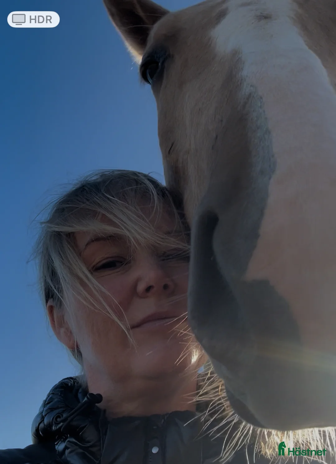 Galleribild {{count}}