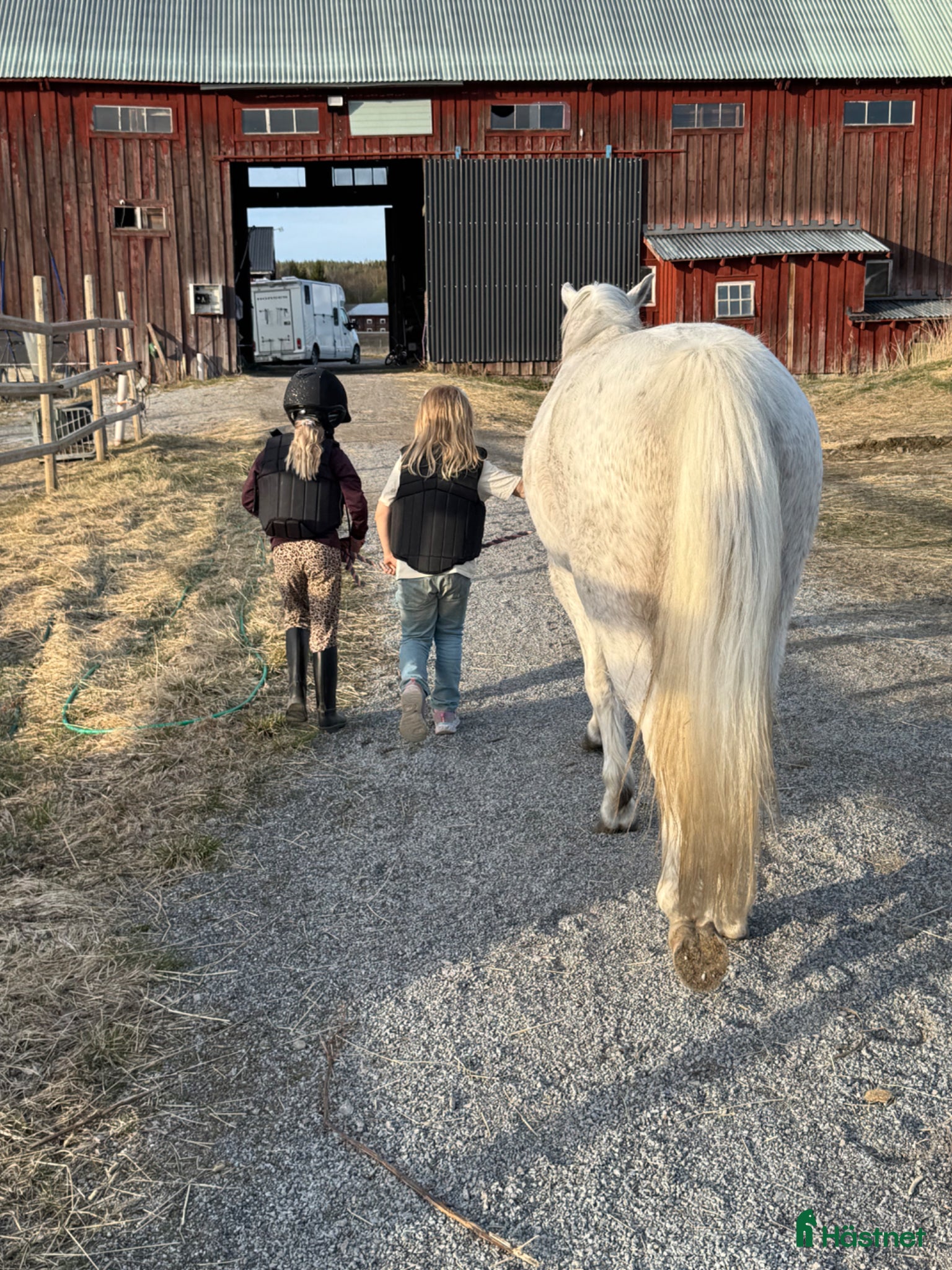  hästar Ponny till sista hem  - Annons 1