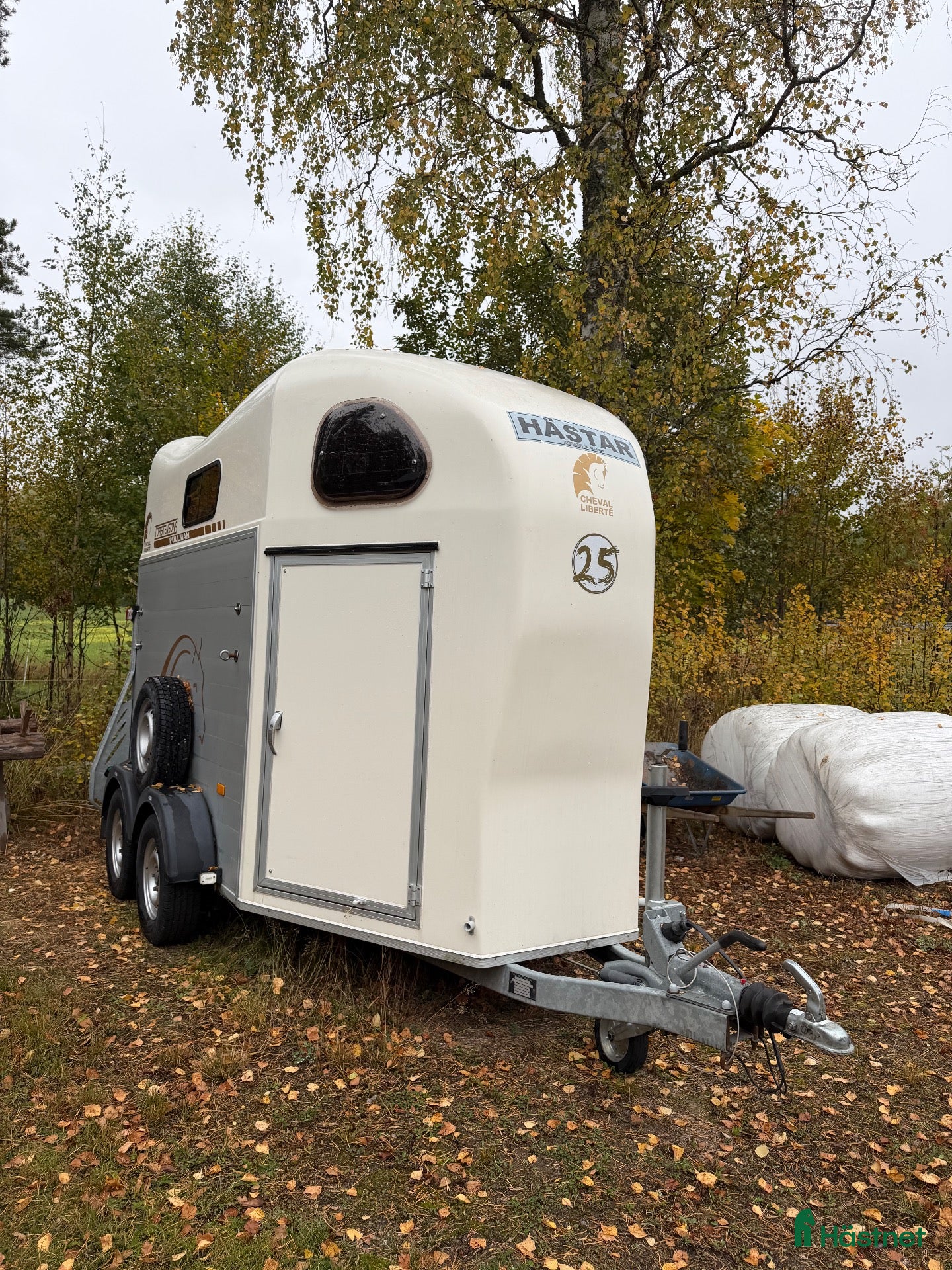 Hästtransporter  fordon & transport till salu: Cheval liberte Gold 2, Edition 25, Årsmodell 2021 - Annons 1
