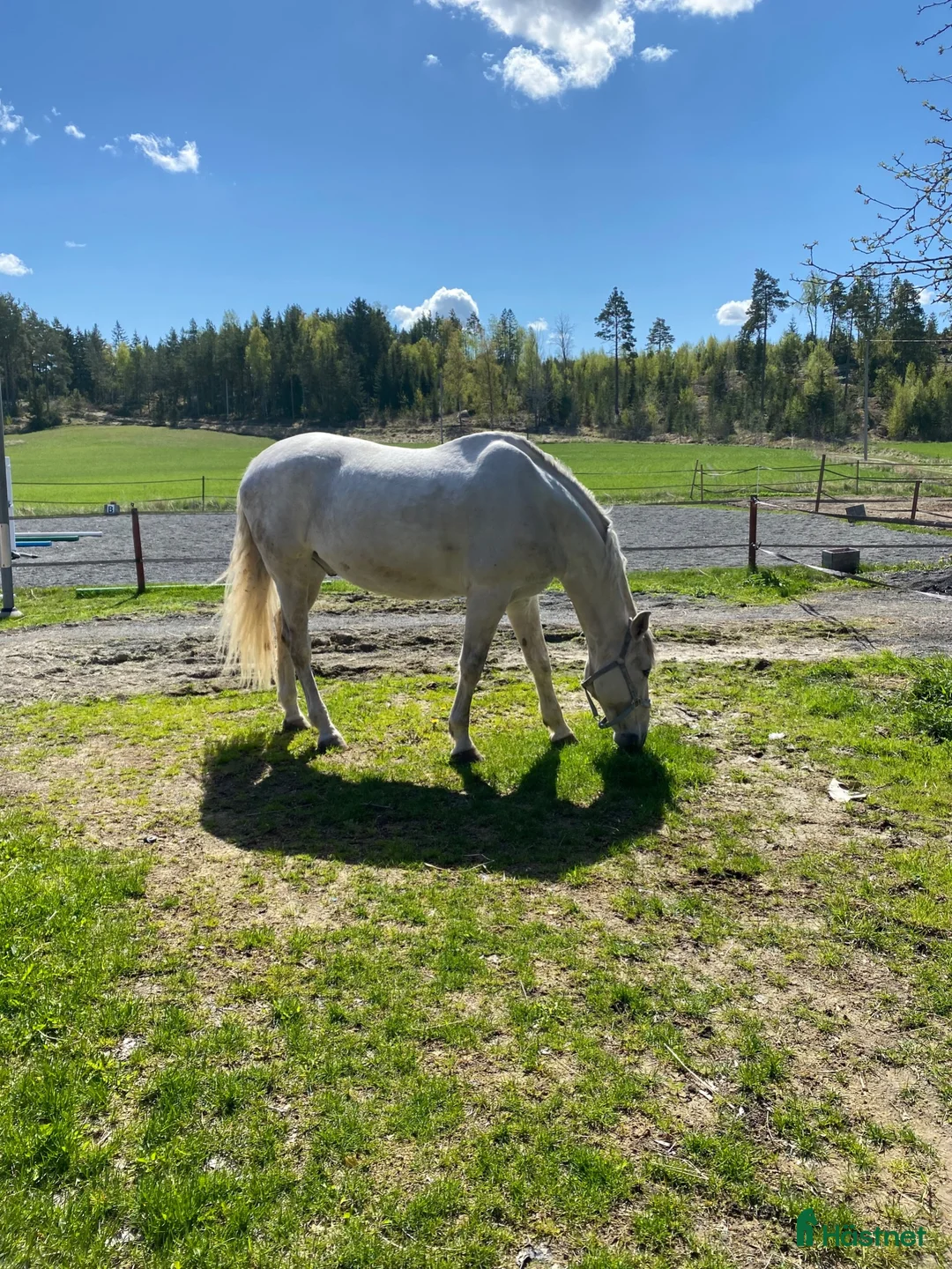  stallplats finnes: Stallplats i norra Vallentuna  - Annons 2