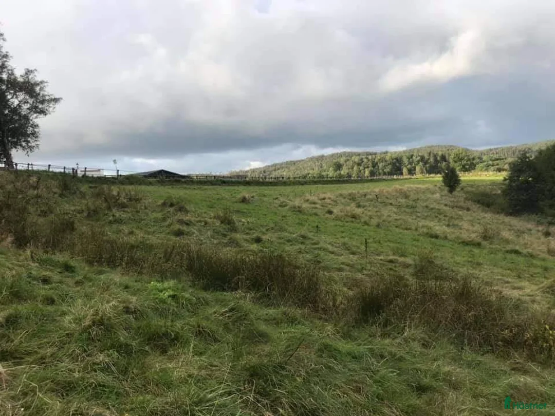  stallplats finnes: Ledig boxplats på fin anläggning i Uddevalla. i Uddevalla - Annons 18