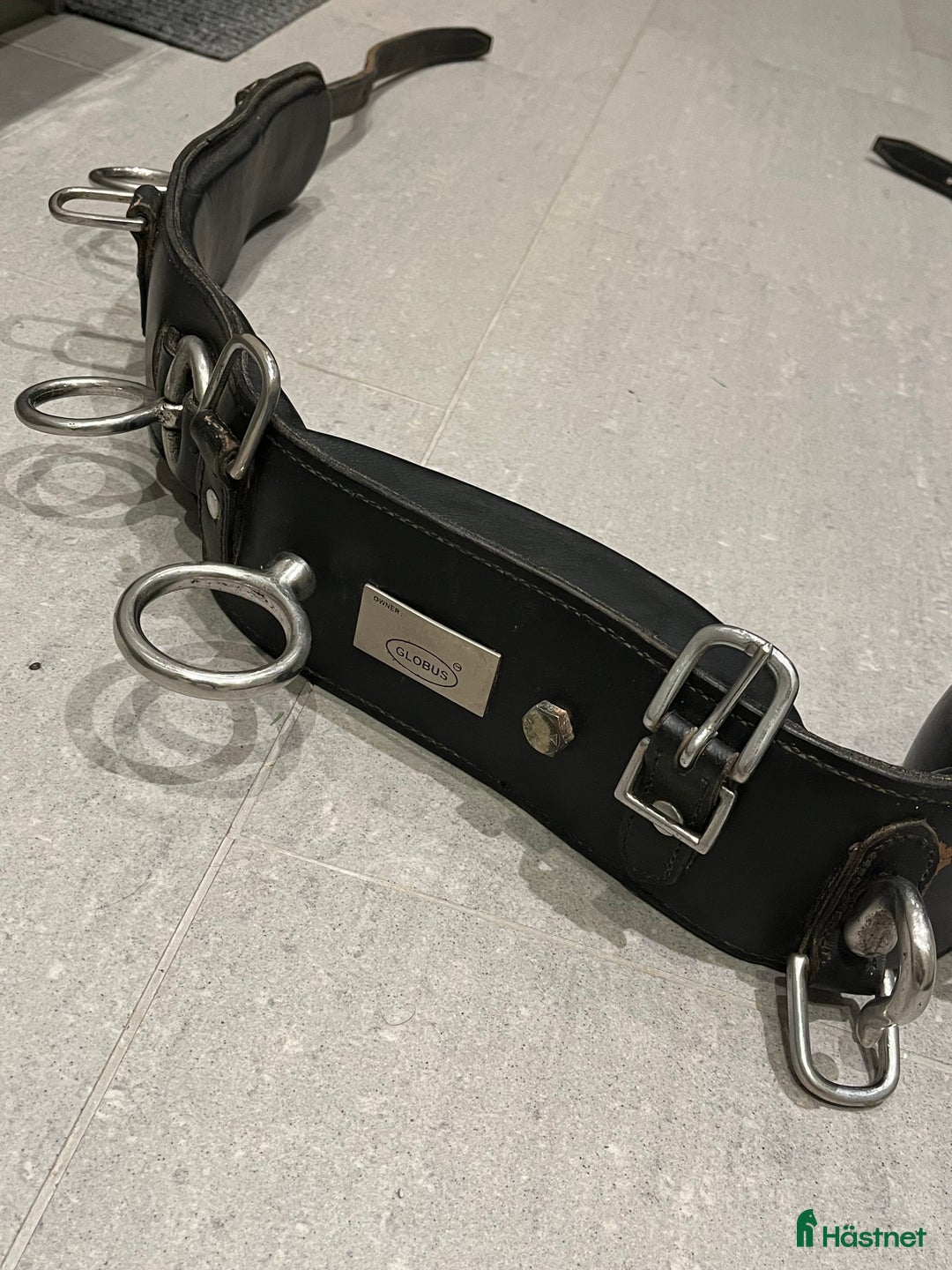 Övrig Hästutrustning hästutrustning till salu: Tömkörningsgjord i Dalby - Annons 3