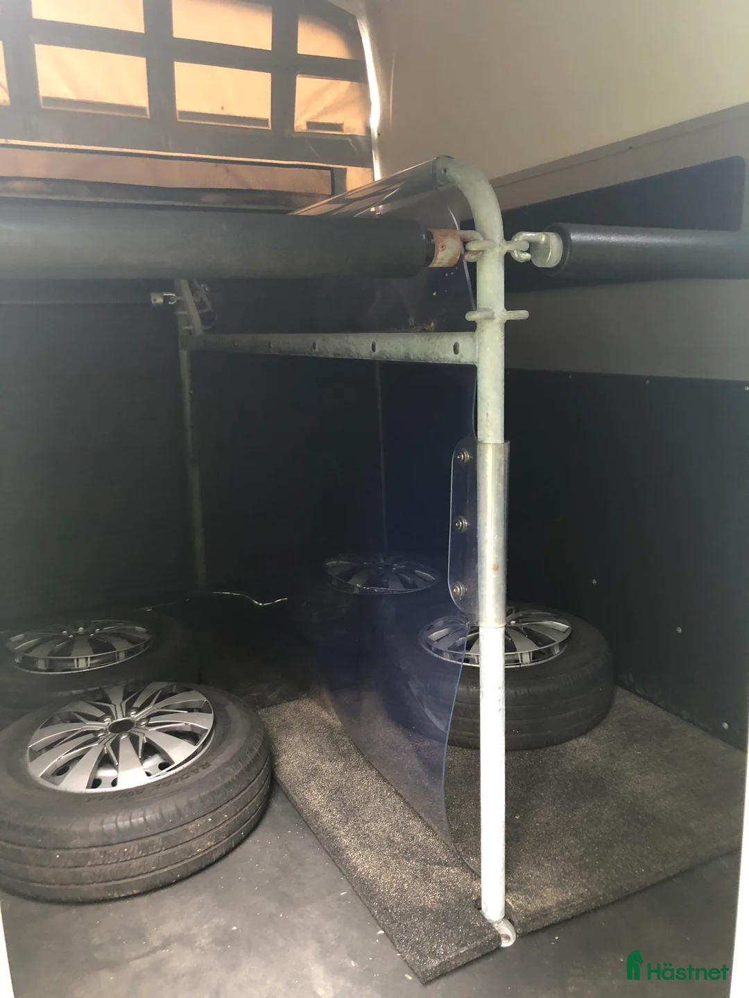 Hästtransporter  fordon & transport till salu: böckmann champion i Tungelsta - Annons 2