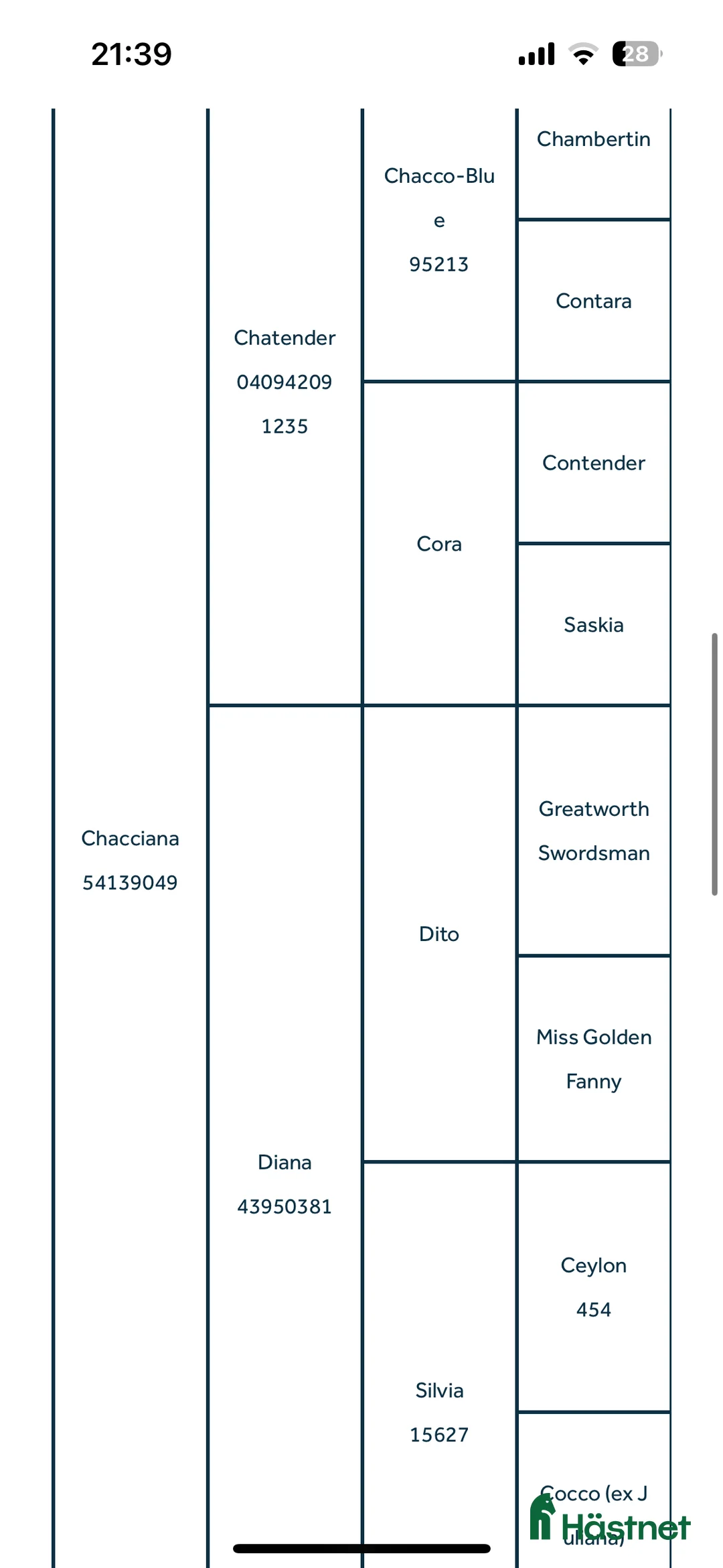 Hoppning hästar till salu: PRISSÄNKT! Charmigt hoppsto - Annons 2
