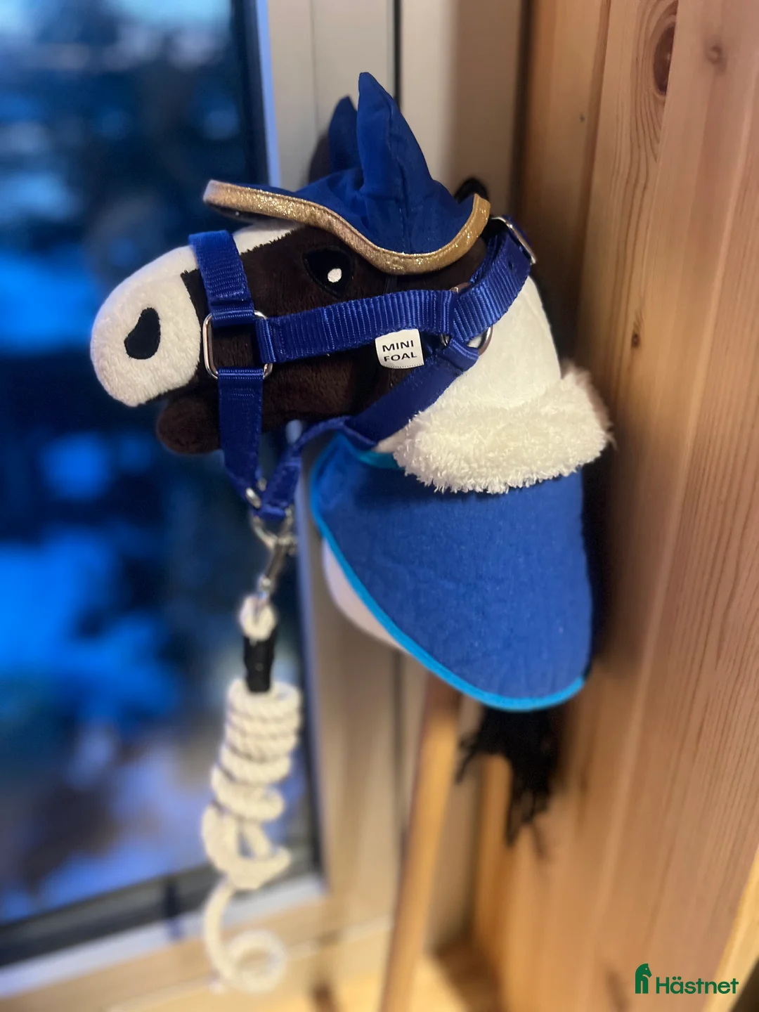 Övrig utrustning övrig utrustning till salu: Hööks käpphäst till salu med tillbehör💙 i Kiruna - Annons 5