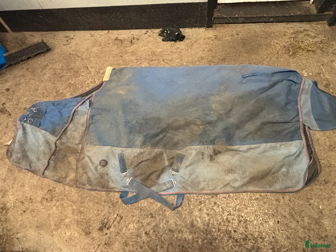 Täcken hästutrustning till salu: Ute täcke 165 - Annons 1