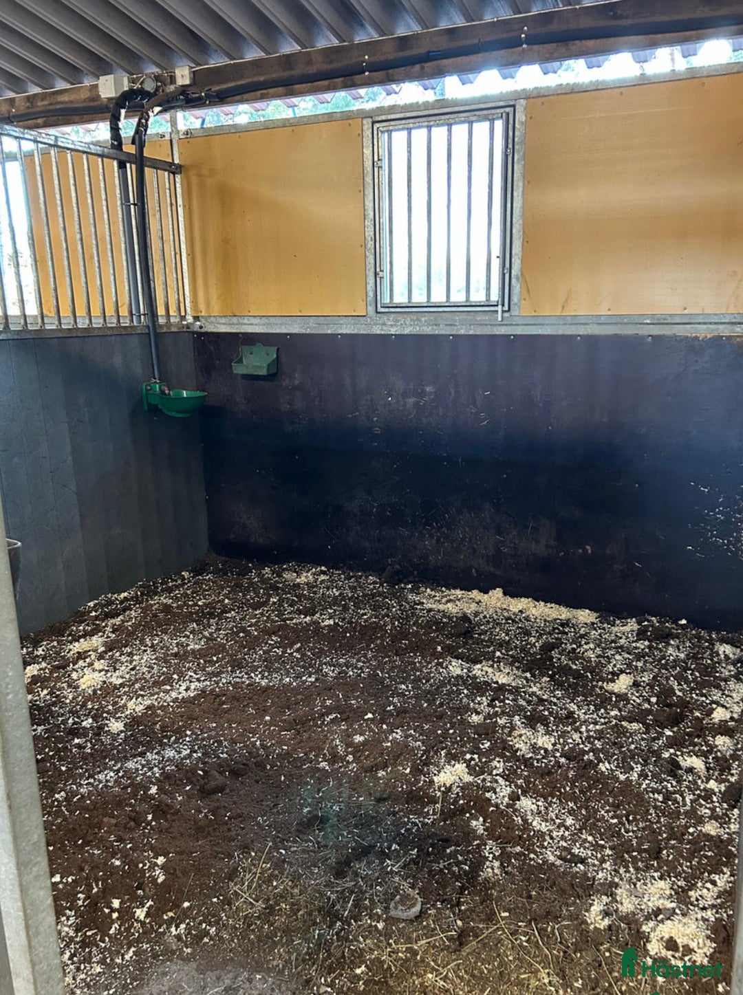  stallplats finnes: Uteboxar i Stav i Tungelsta - Annons 10