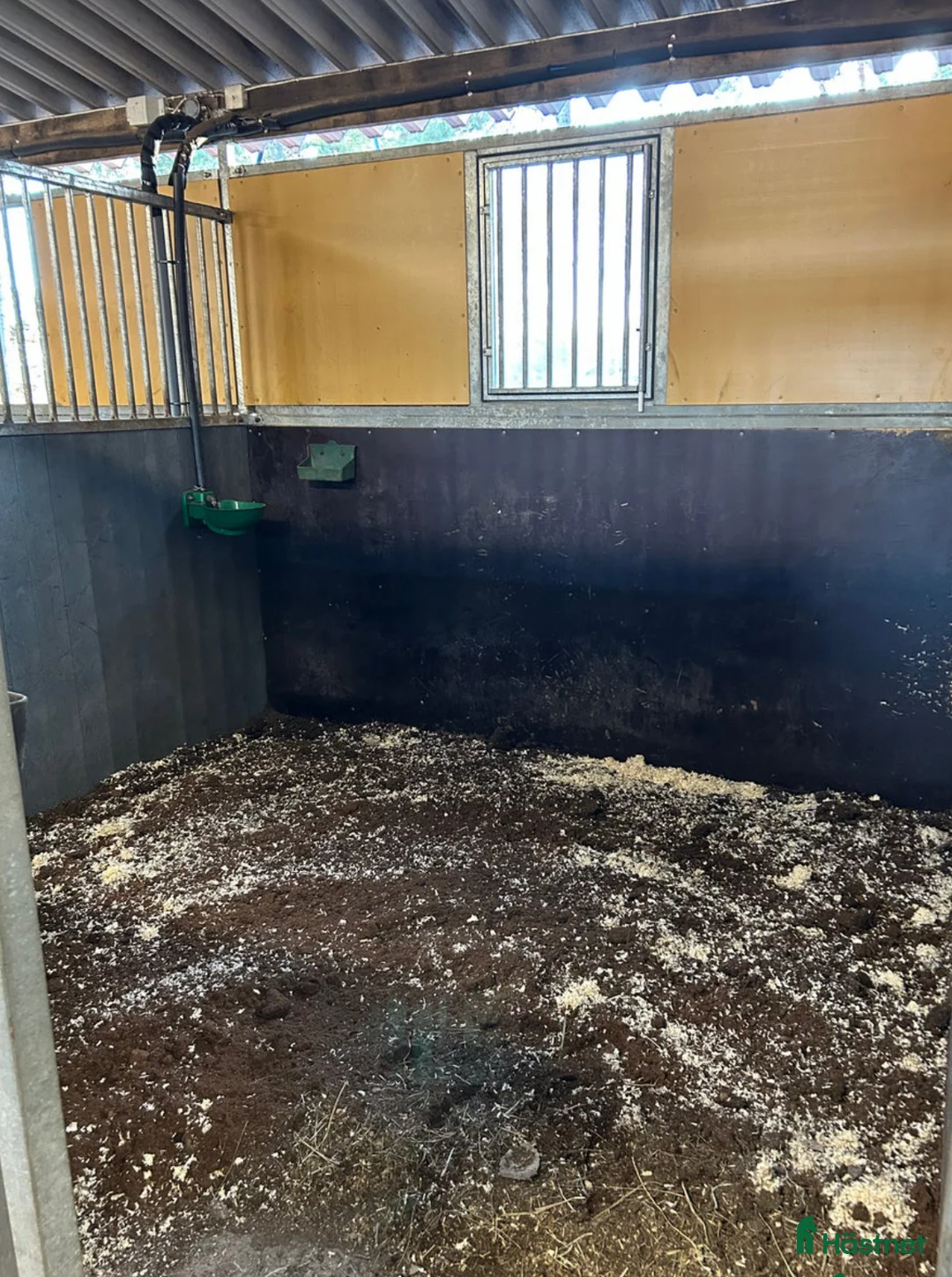  stallplats finnes: Uteboxar i Stav i Tungelsta - Annons 10