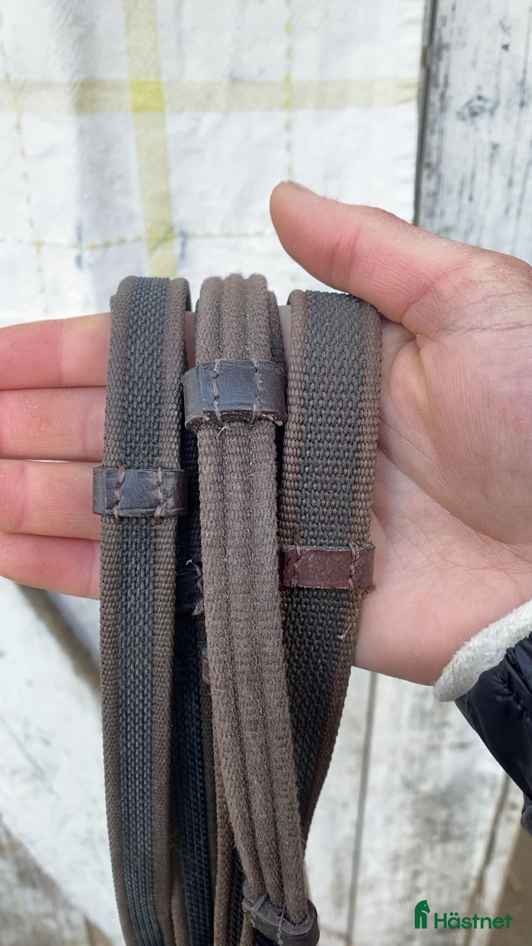 Träns hästutrustning till salu: Utrensning av träns i Vinninga - Annons 7