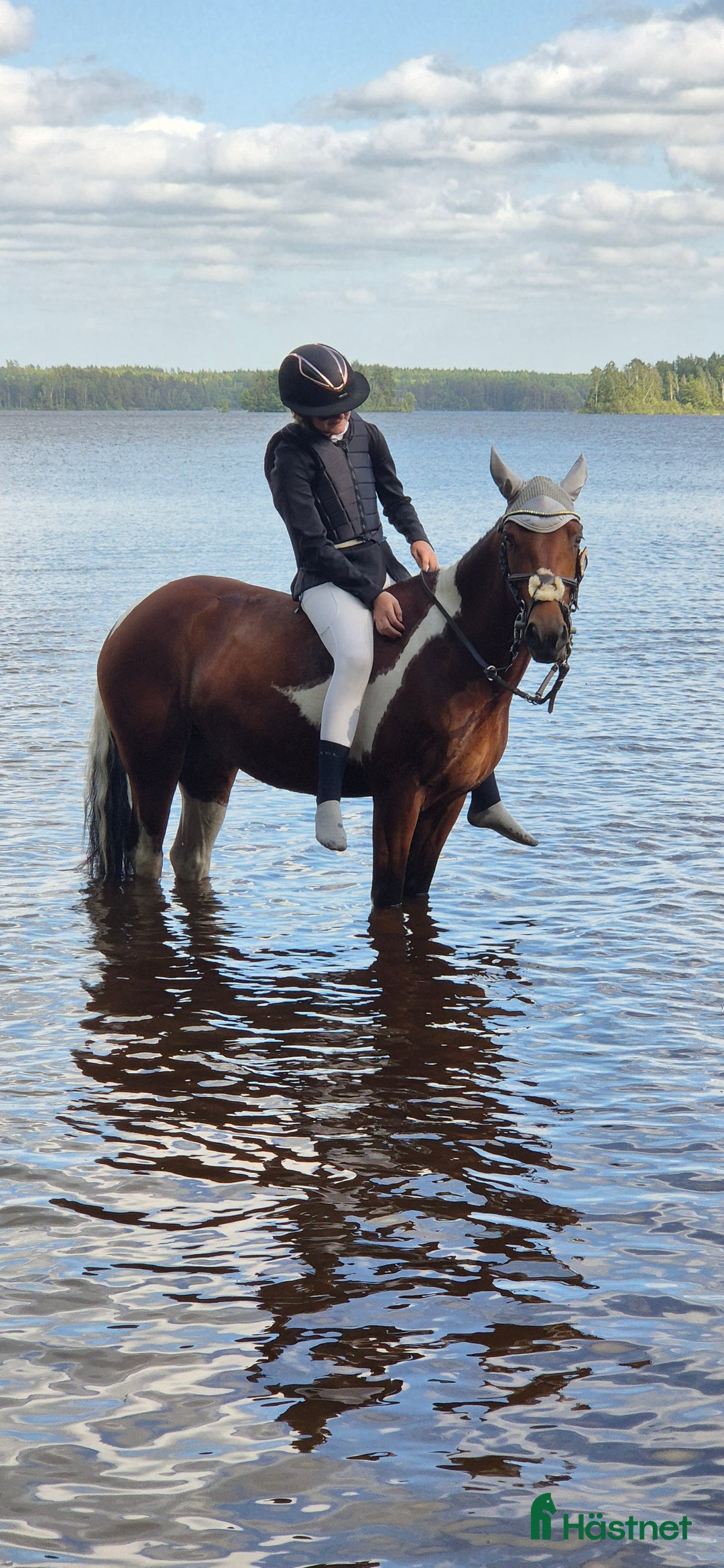 Hoppning hästar till salu: Hopponny med power i Skillingaryd - Annons 4