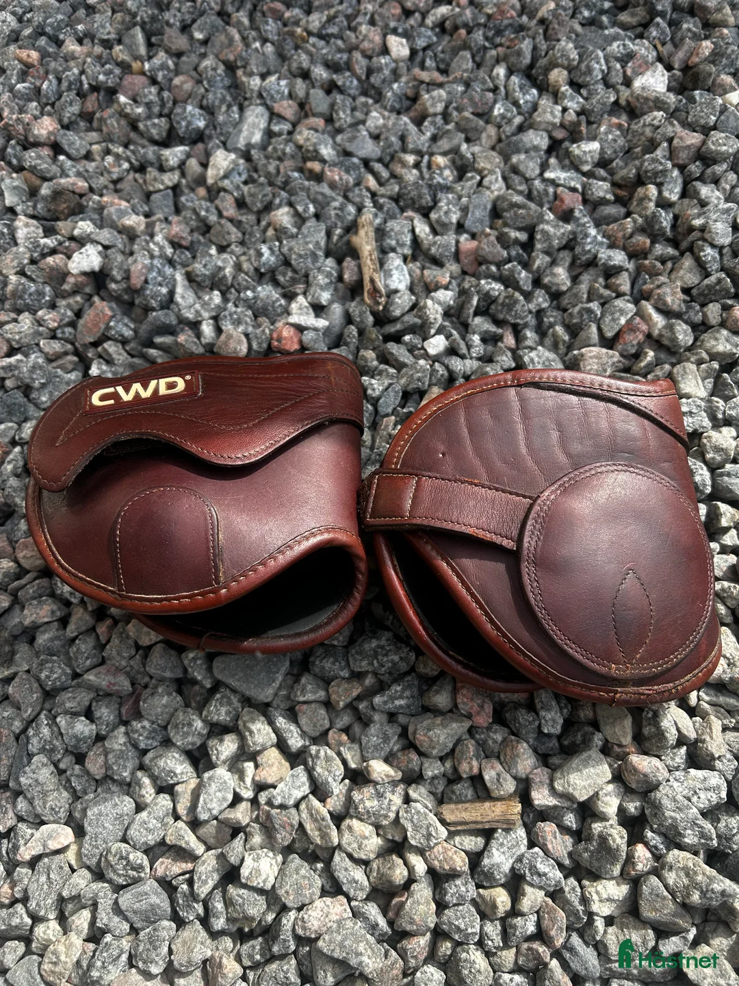 Benskydd hästutrustning till salu: Veredus Carbon gel Vento, Kentucky i Enköping - Annons 5