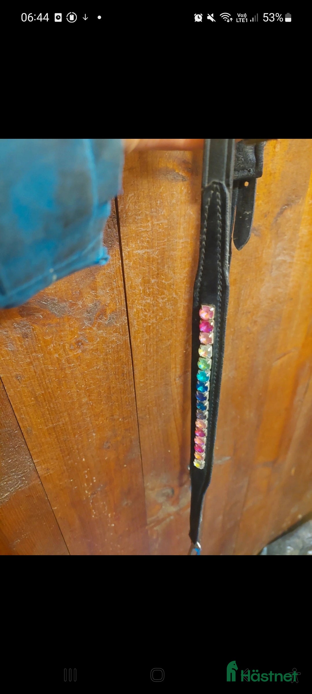 Träns hästutrustning till salu: Nordic Horse island i Gnesta - Annons 3