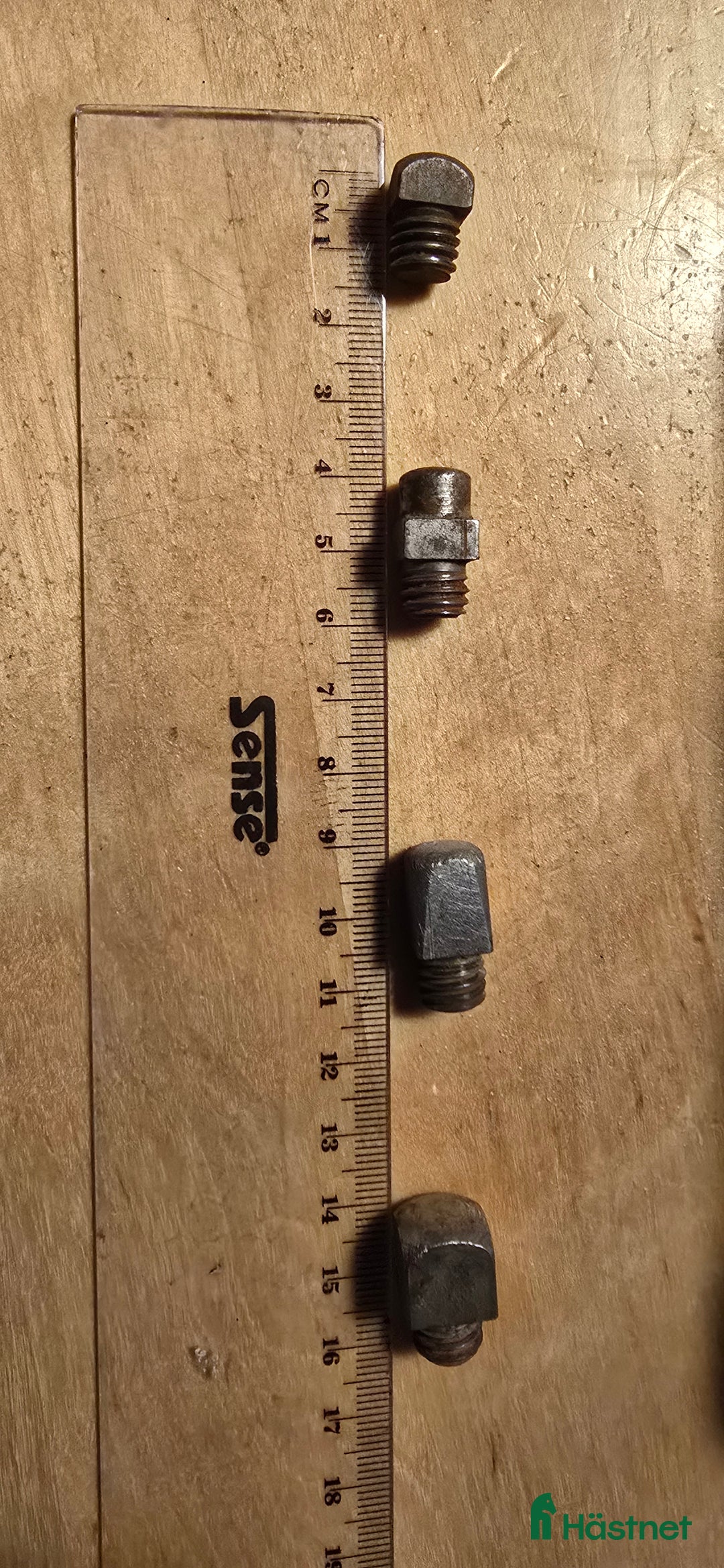 Övrig Hästutrustning hästutrustning till salu: Olika gräsbroddar i Ekerö - Annons 2