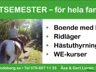 hästjobb Sommarpersonal (i ponnystorlek.) - Annons 2