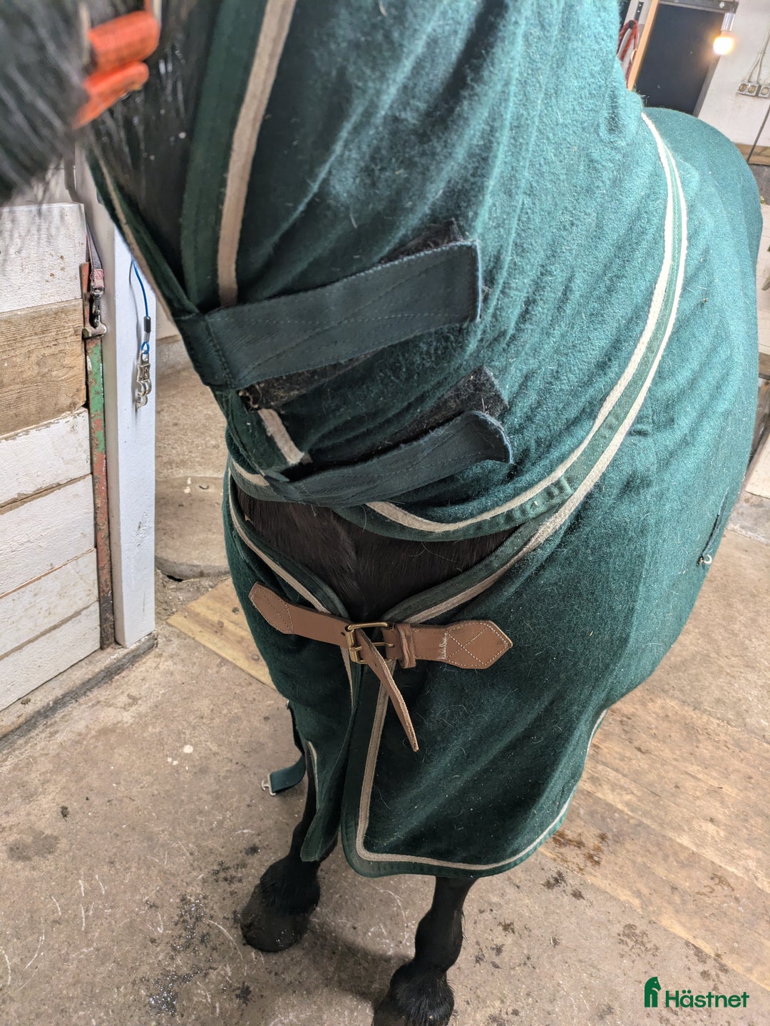 Täcken hästutrustning till salu: Ulltäcke i Älmhult - Annons 2