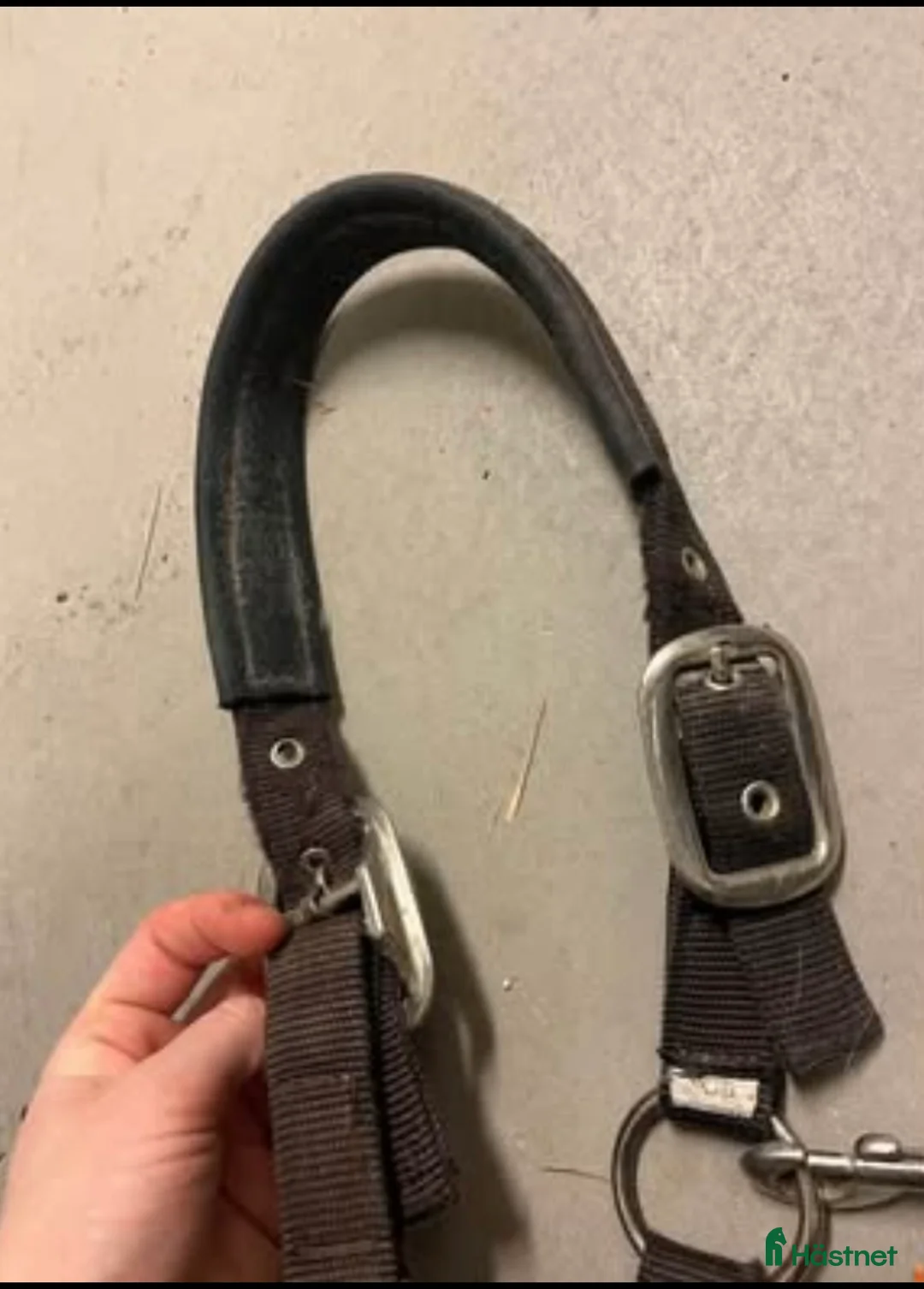 Övrig Hästutrustning hästutrustning till salu: Equiline grimma i Göteborg - Annons 2