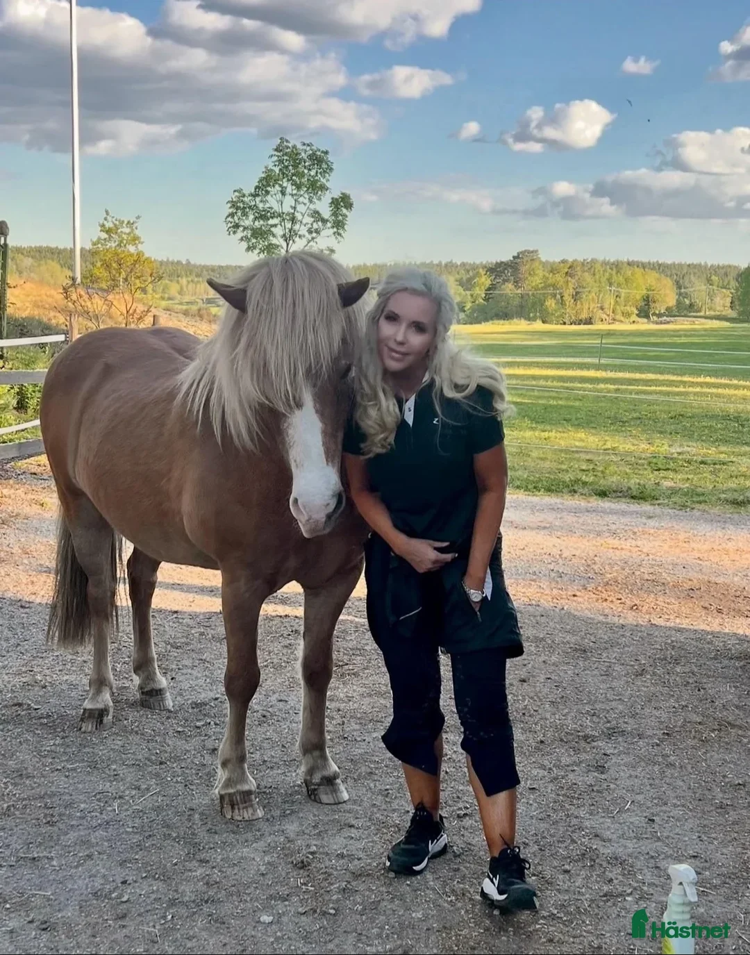 Galleribild {{count}}