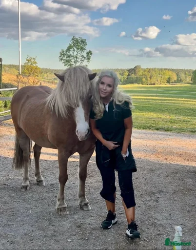 Galleribild {{count}}