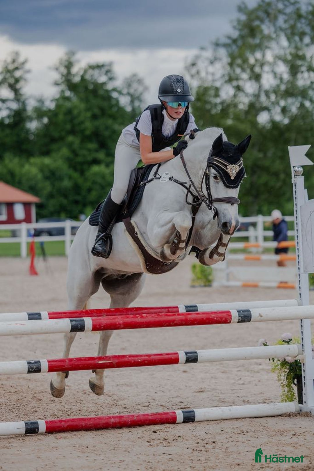 Hoppning hästar till salu: Pigg och framåt D-ponny i Forsheda - Annons 3