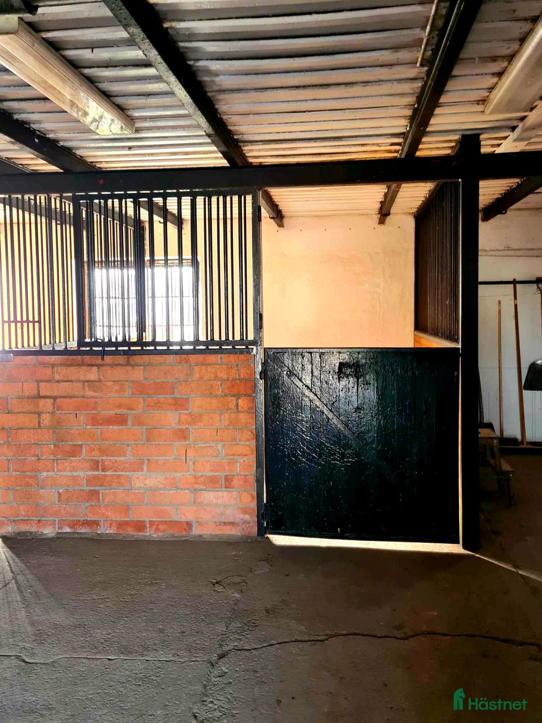  stallplats finnes: Hel/halvinackodering-Ridhus-Tierp i Skärplinge - Annons 4