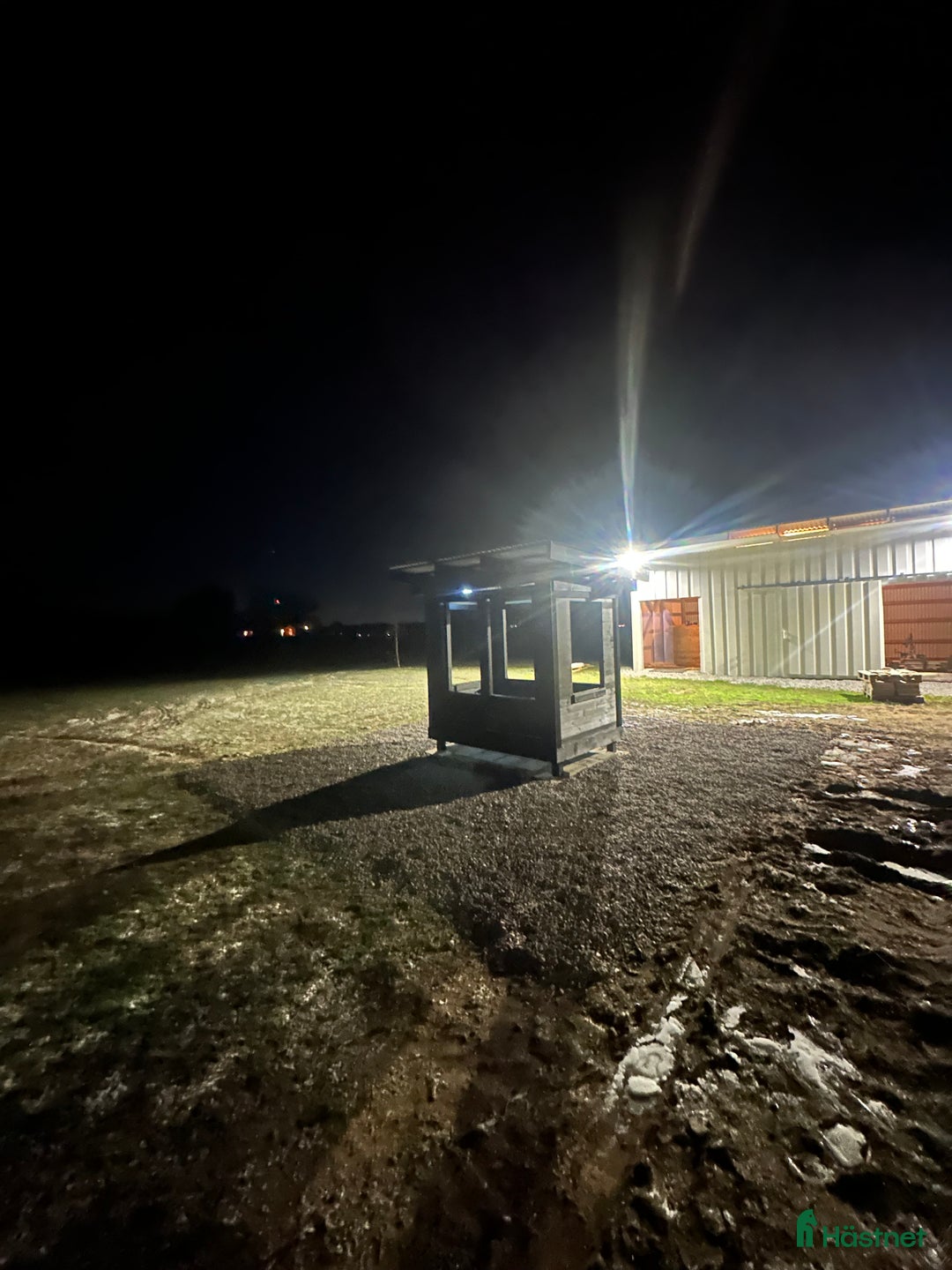  stallplats finnes: Hingst lösdrift i Linköping - Annons 2