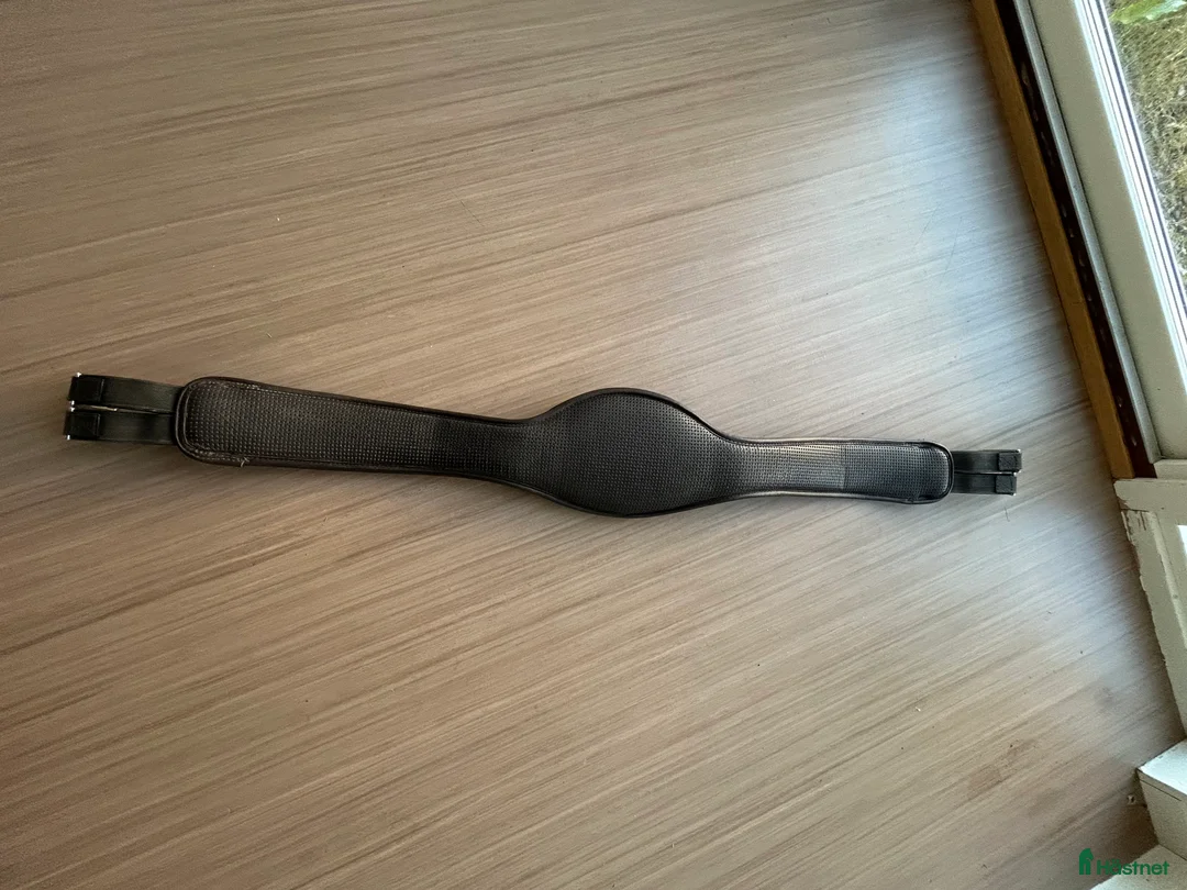 Sadeltillbehör hästutrustning till salu: Wintec sadelgjord i Kungsbacka - Annons 3