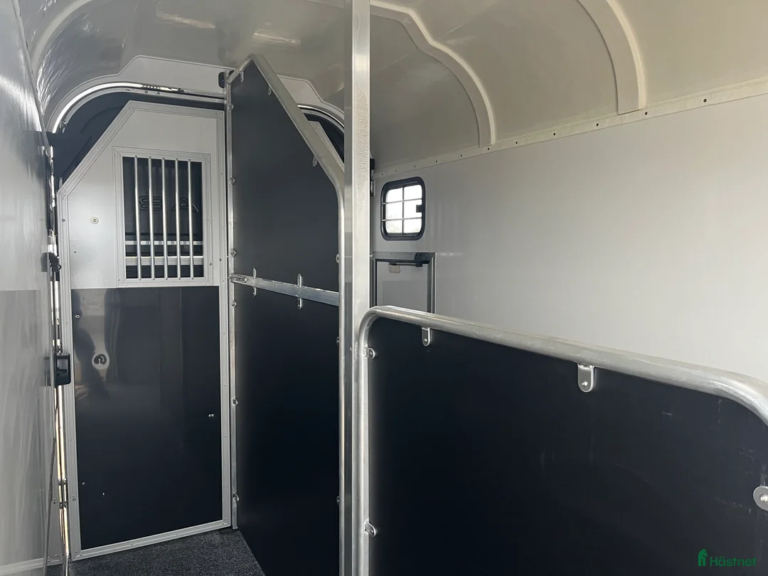 Hästtransporter  fordon & transport till salu: Forzab EQ3R Stuteri Finns i lager  i Klippan - Annons 9
