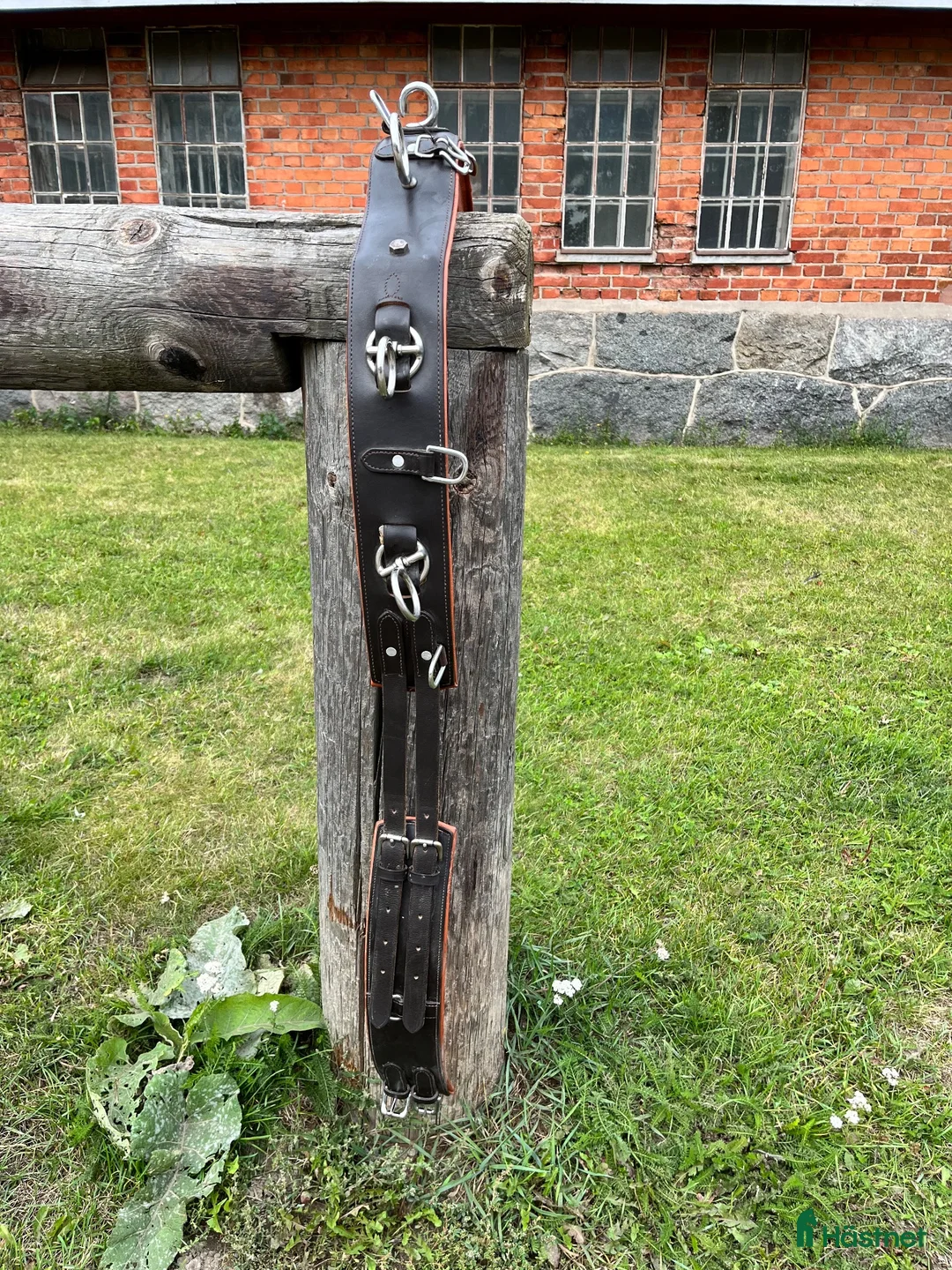 Övrig Körutrustning körning till salu: Tömkörningsgjord i läder  - Annons 2