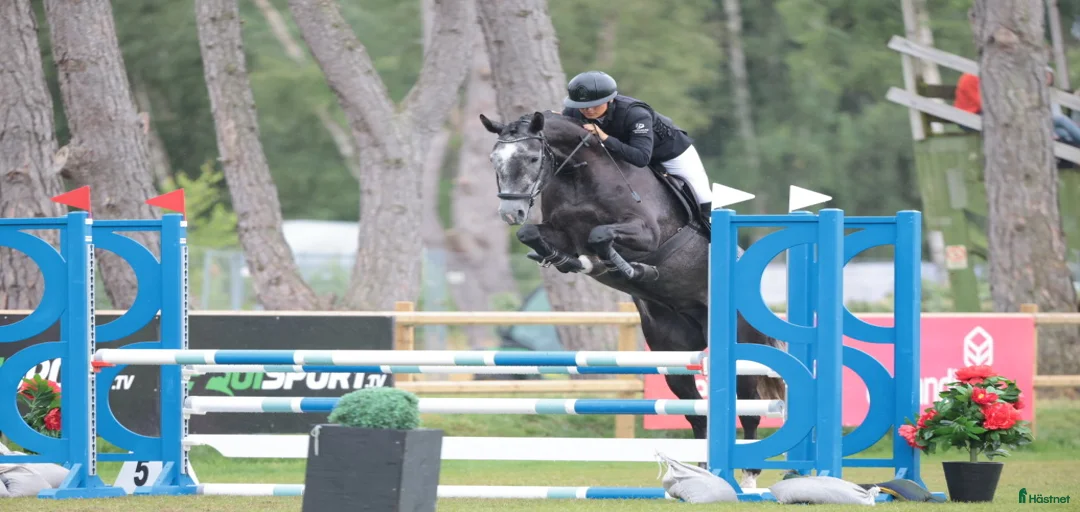 Galleribild {{count}}