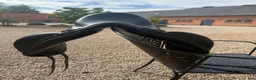 Sadlar hästutrustning till salu: Equipe Dressage Olympia Singelflap 16” - Annons 5