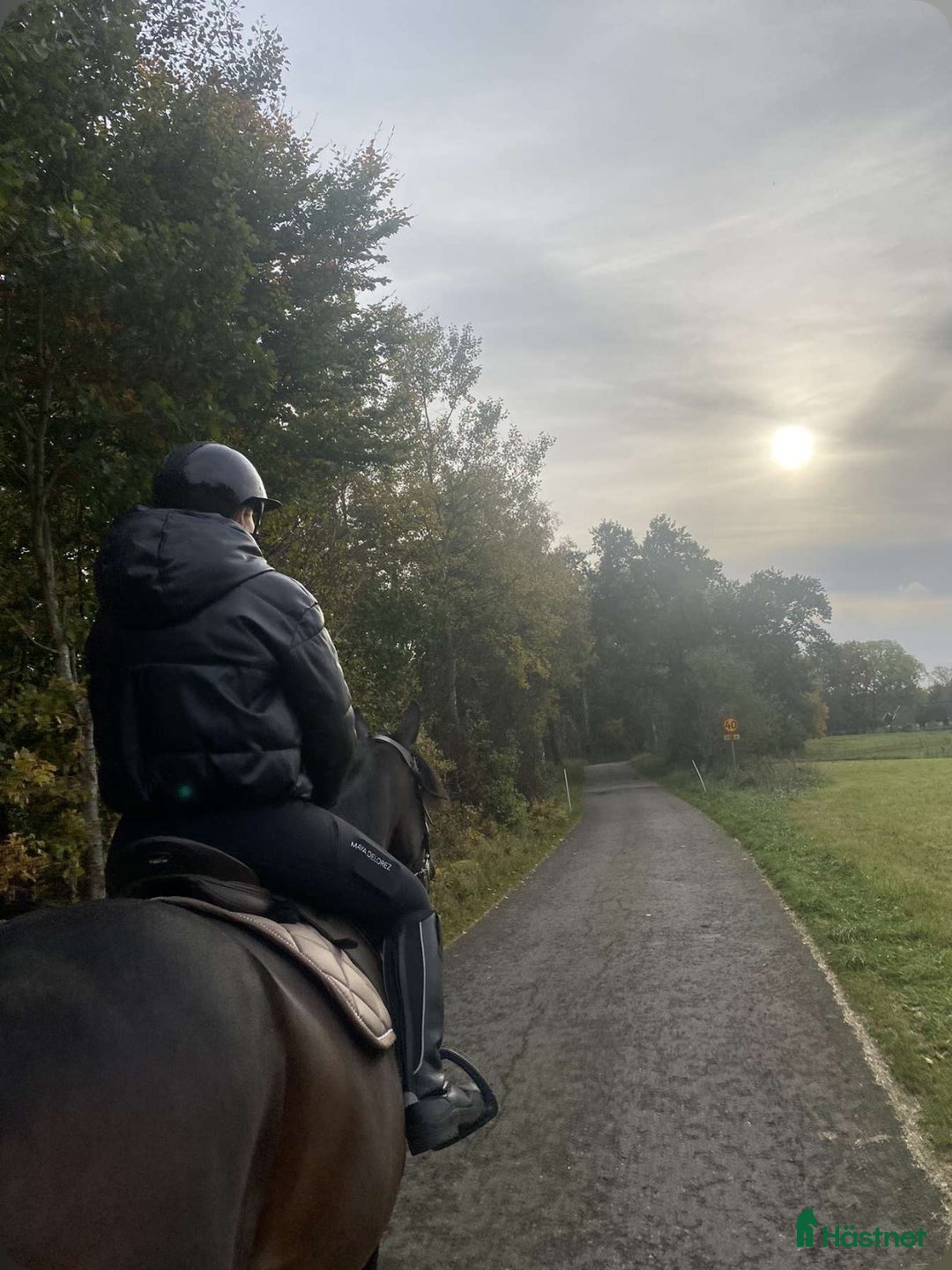 Allround hästar till salu: INTRESSEKOLL i Munka-ljungby - Annons 2