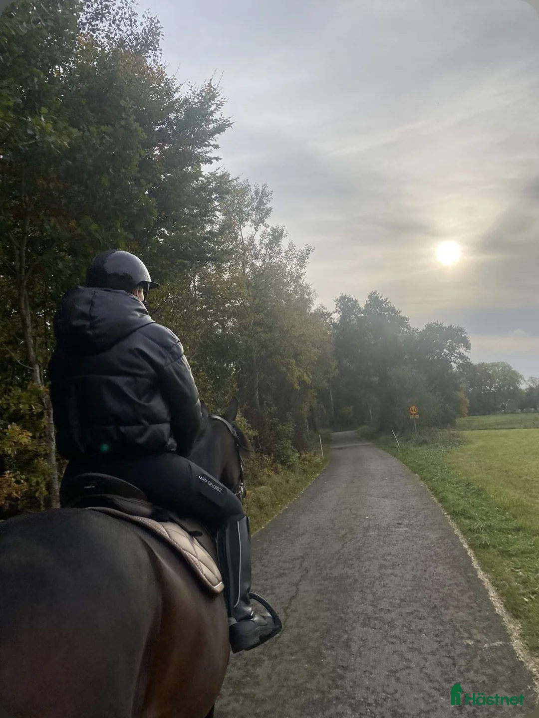 Allround hästar till salu: INTRESSEKOLL i Munka-ljungby - Annons 2