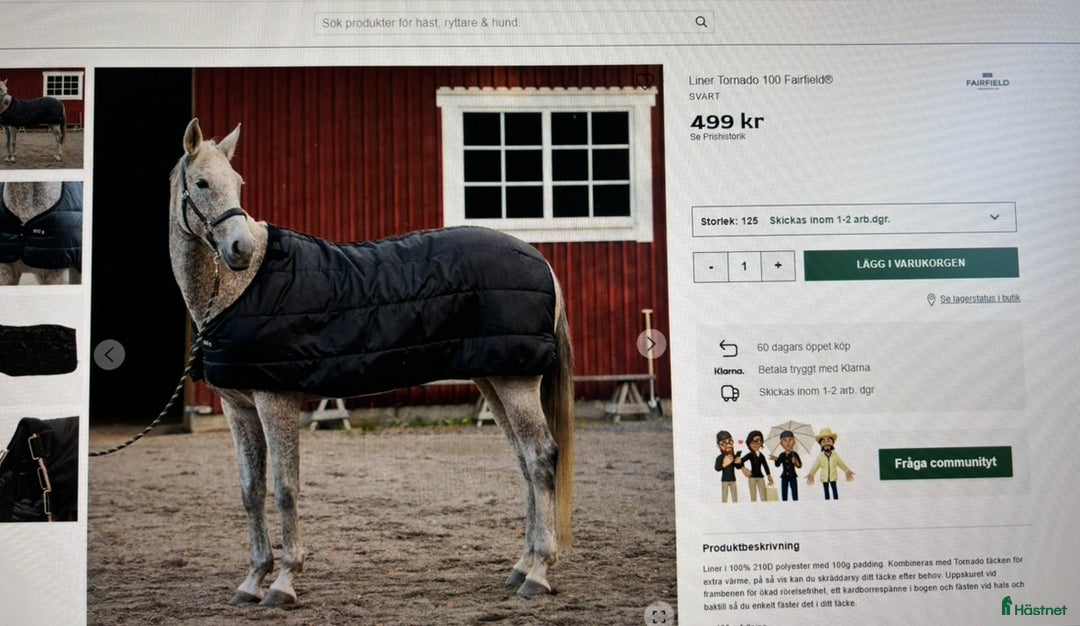 Täcken hästutrustning till salu: Regntäcke Tornado 50g Fairfield strl 135 i Hägersten - Annons 3