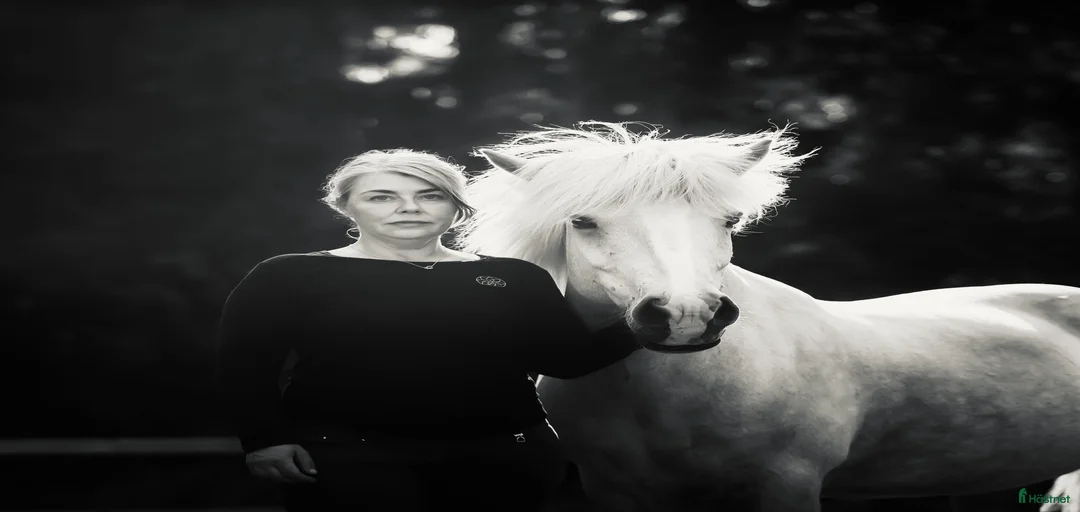 Galleribild {{count}}