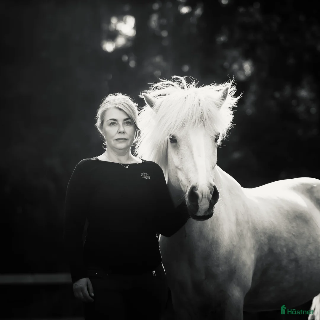 Galleribild {{count}}