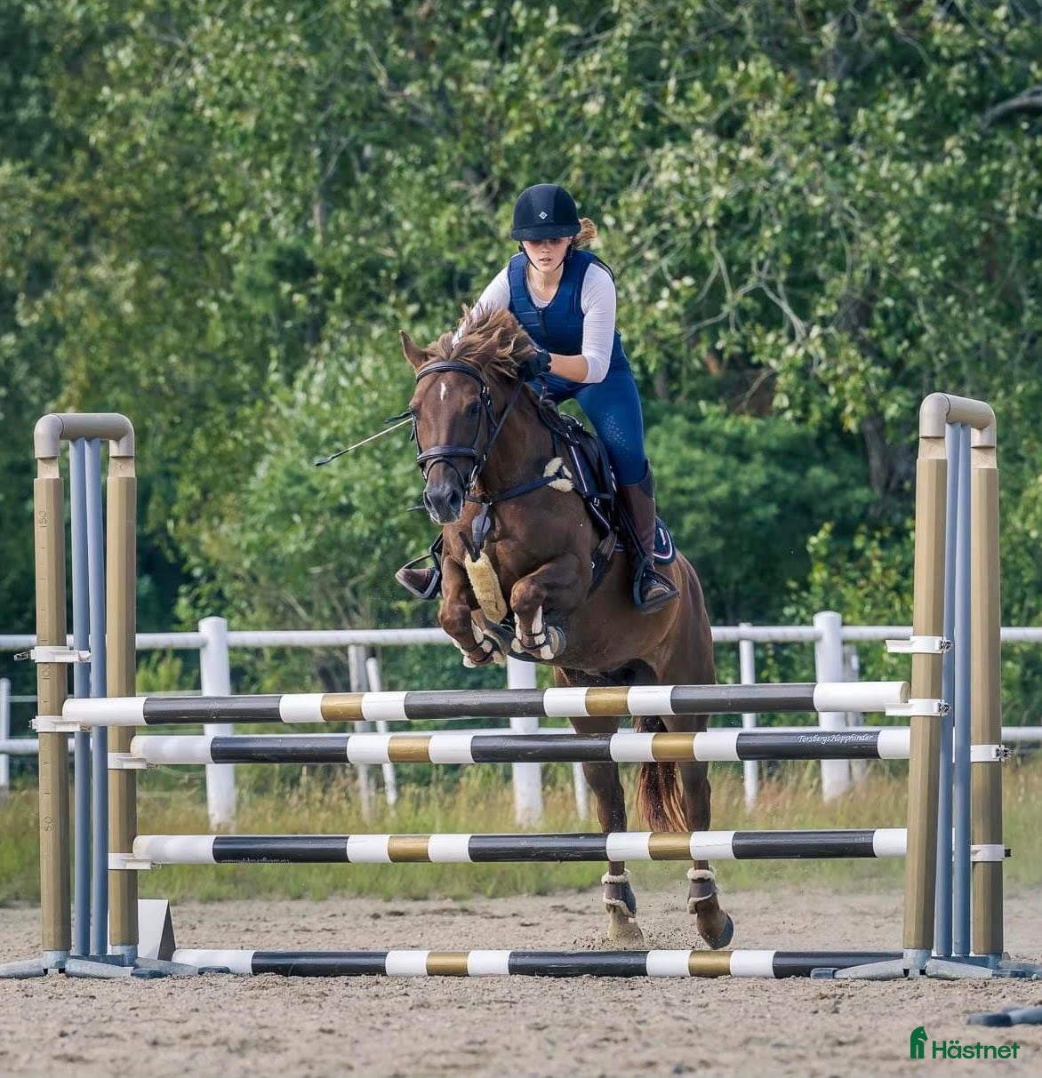  hästjobb Söker tjänst i stall  i Nygård - Annons 1