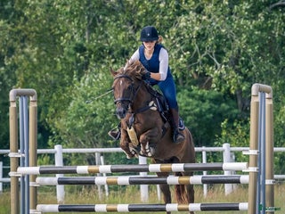 hästjobb Söker tjänst i stall i Nygård - Annons 1