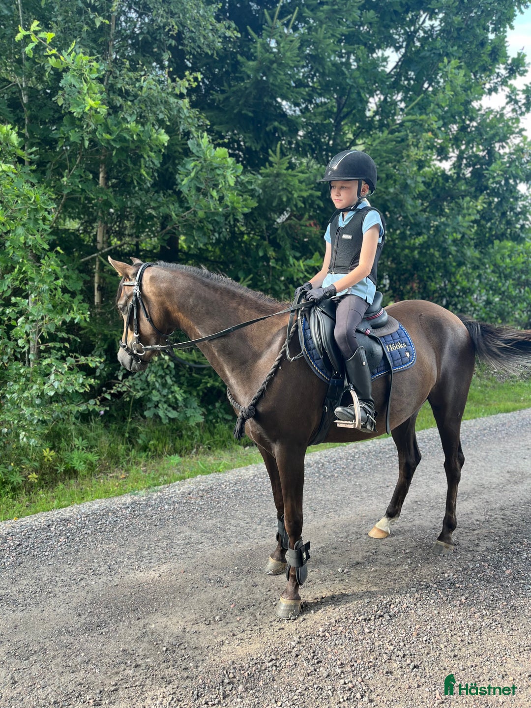 Allround hästar till salu: Ungponny att utvecklas med 🌸 i Gislaved - Annons 6