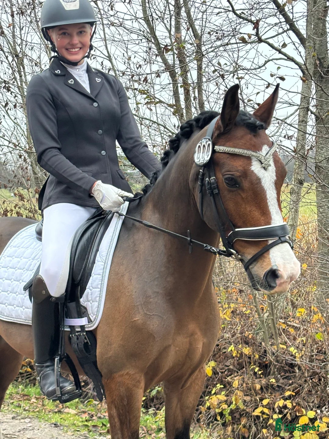 Dressyr hästar till salu: FEI Mästerskaps D-Ponny i Kungsbacka - Annons 2