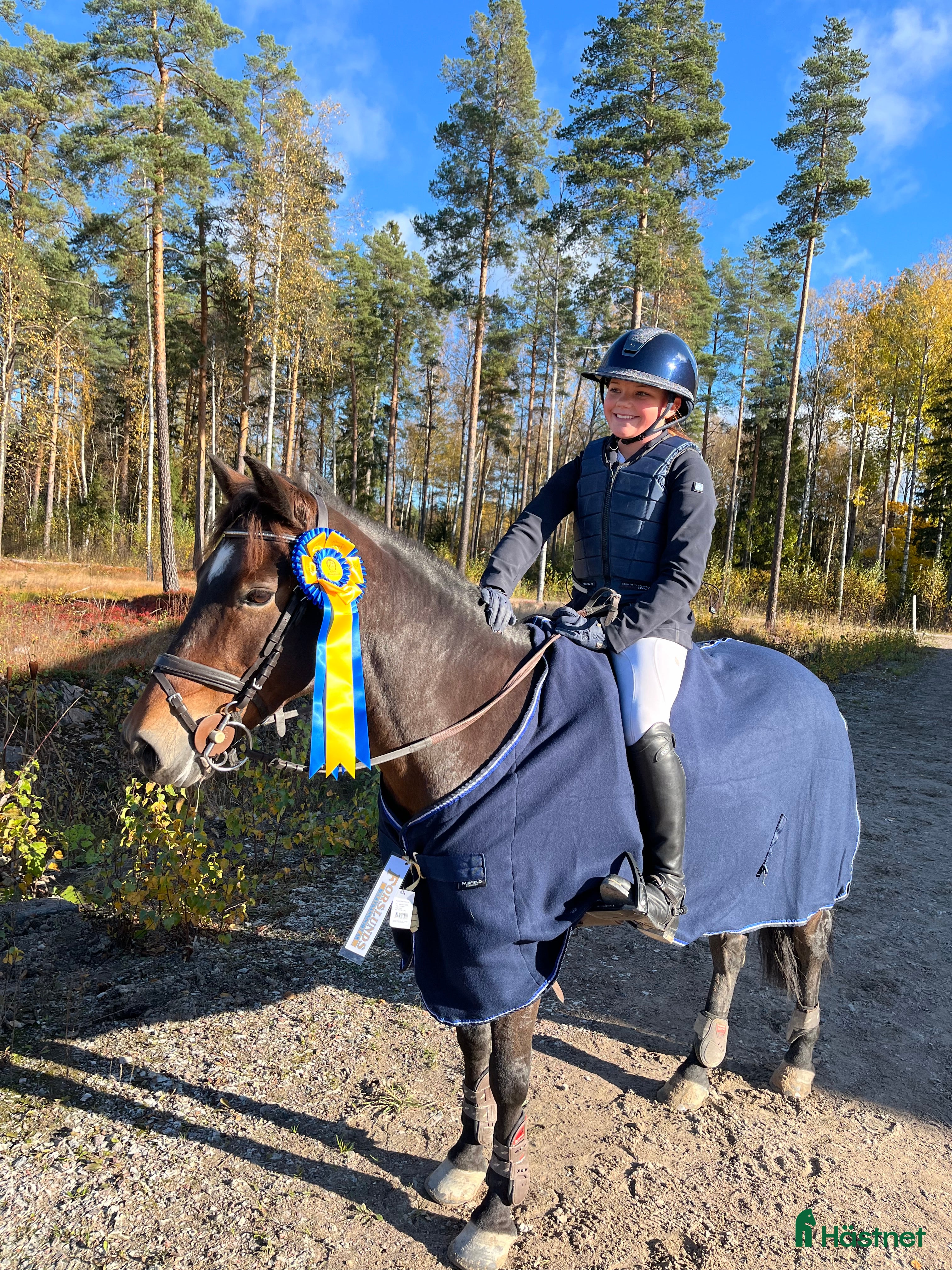 Allround hästar till salu: Sm-ponny? B- ponny med kapacitet  - Annons 2