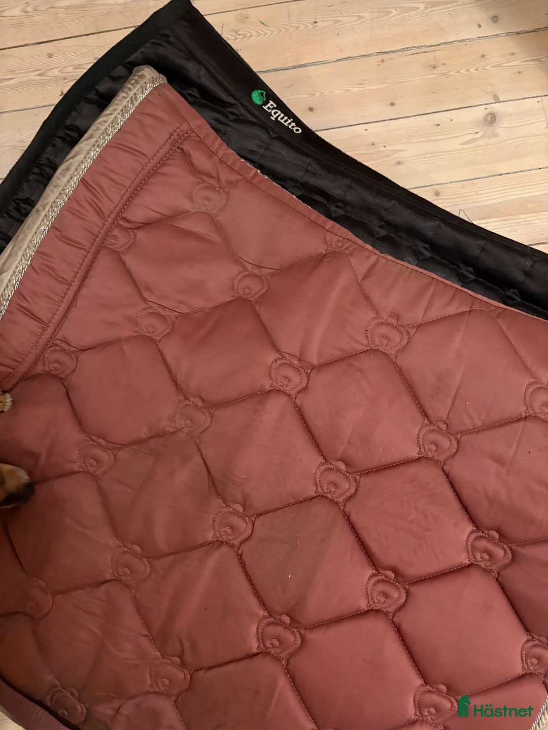 Schabrak & Vojlockar hästutrustning till salu: Dressyrschabrak från PS of Sweden i Borås - Annons 1